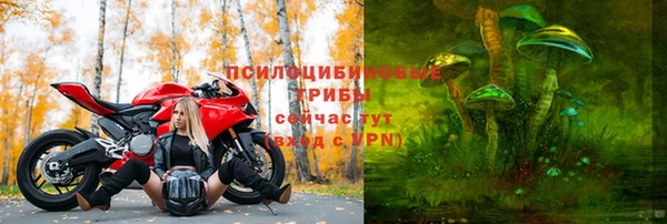 винт Горнозаводск