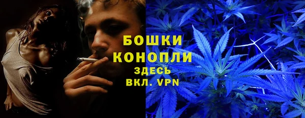 дурь Горно-Алтайск