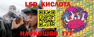 сатива Апшеронск