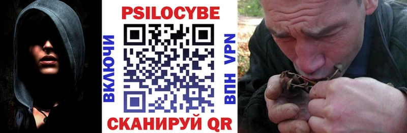 МЕГА ONION  Мценск  Псилоцибиновые грибы Psilocybe 