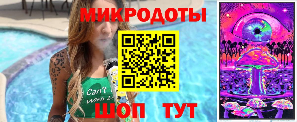 Галлюциногенные грибы Psilocybine cubensis Мценск