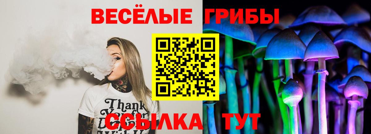 Галлюциногенные грибы мухоморы Мценск