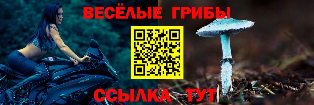 где найти   Вход с VPN  Мценск  Псилоцибиновые грибы Psilocybine cubensis 